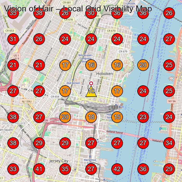 Vision of Hair GeoGrid visibility map for Hair Salon in Hoboken